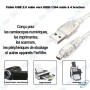 🔌 Câble USB 2.0 vers IEEE 1394 FireWire 4 Broches Mâle/Mâle 1,5 m