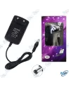 🔌Mini Adaptateur Secteur 5V 1A | Chargeur Universel DC Fiable