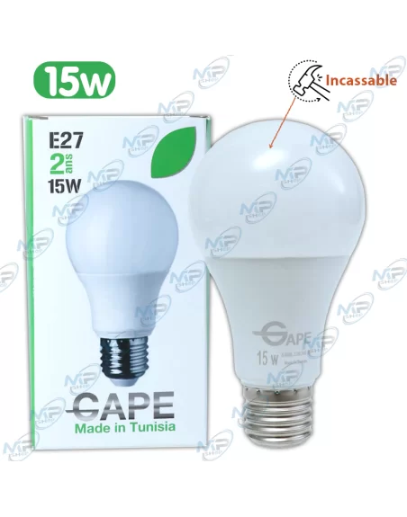 AMPOULE LED INCASSABLE E27 15W