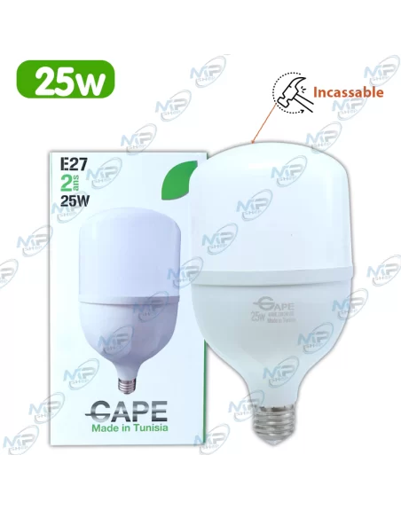 AMPOULE LED INCASSABLE E27 25W