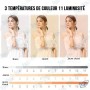 🔆 Ring Light LED avec 2 Supports de Téléphone – Éclairage pour Selfie, Live, TikTok & Vidéo