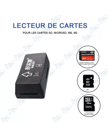 Lecteur de Cartes Universel RITZ GEAR HALET 🌀Lecteur de Cartes SD/MicroSD/MS/M2 USB - Haute Vitesse & Plug and Play