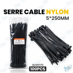 🧵 Serre-câbles Nylon Noir 5 × 250 mm – Lot de 100 pièces