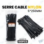 🧵 Serre-câbles Nylon Noir 5 × 250 mm – Lot de 100 pièces