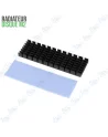 🌡️Radiateur M.2 NVMe 2280 Ultra-Fin - Évitez la Surchauffe SSD