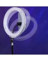 🌈Ring Light LED 15cm Ours & Support Flexible Clip - Selfie Parfait