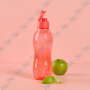 💧Bouteille d'Eau 750ml AQUAFRESH | Anti-fuite, Filtre à Fruits, Idéale Sport/Bureau