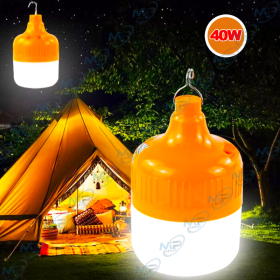 AMPOULE LED RECHARGEABLE 50W