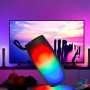 Haut Parleur Bluetooth RGB 112
