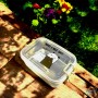 🍱Boîte à Repas Enfant avec Cuillère Intégrée – Design Mignon & Étanche – 228.6 cm² – Acier Inox & Plastique – "Have a Nice Day"