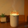 copy of Mini Diffuseur avec Veilleuse 300ML