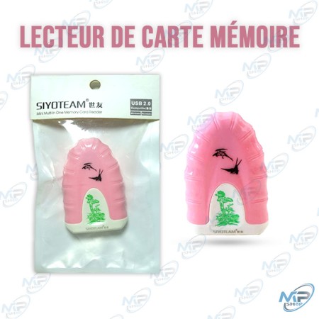 copy of LECTEUR CARTES MÉMOIRES