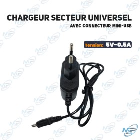 ⚡Chargeur Secteur Universel Mini-USB 5V - Compact & Fiable
