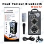 copy of HAUT PARLEUR RECHARGEABLE + DEUX MICRO SANS FIL GY-8809