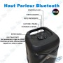 copy of HAUT PARLEUR RECHARGEABLE + DEUX MICRO SANS FIL GY-8809