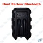 copy of HAUT PARLEUR RECHARGEABLE + DEUX MICRO SANS FIL GY-8809