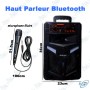 copy of HAUT PARLEUR RECHARGEABLE + DEUX MICRO SANS FIL GY-8809