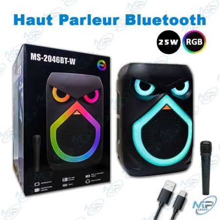 copy of HAUT PARLEUR RECHARGEABLE + DEUX MICRO SANS FIL GY-8809
