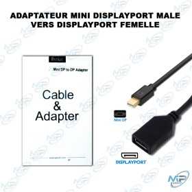 🔌 Adaptateur Mini DisplayPort Mâle vers DisplayPort Femelle – Convertisseur Vidéo Haute Définition