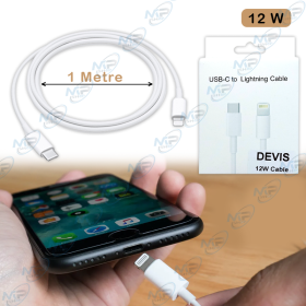 Câble USB-C vers Lightning 1M