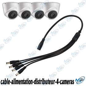 🔌 Câble Répartiteur Alimentation CCTV 1 vers 4 – Splitter DC pour 4 Caméras de Surveillance