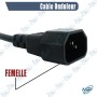 copy of copy of Câble d’Alimentation Secteur CEE 7/7 vers IEC C13